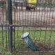 Terifiant. Soldații ruși înfometați de pe linia frontului ucrainean sunt acuzați că au devorat animale de la grădina zoologică