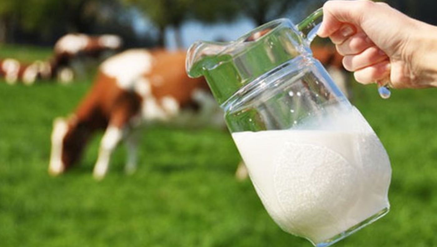 A fost promulgată legea laptelui. Ce vor trebui să facă comercianții și producătorii