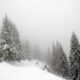 ANM anunță ninsori și viscol în România! Cod galben de vreme rea