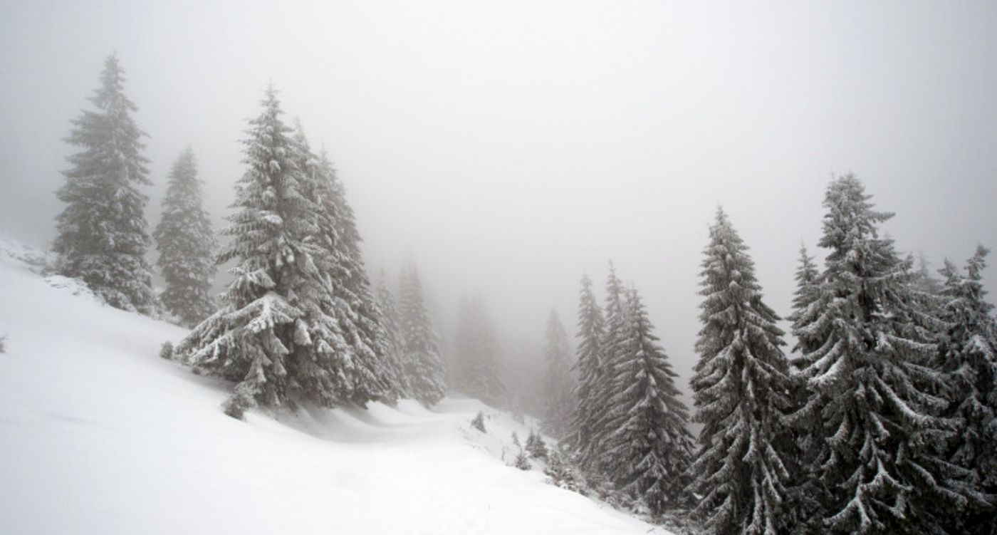 ANM anunță ninsori și viscol în România! Cod galben de vreme rea