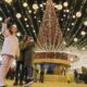 În plin război, ucrainienii se pregătesc de sărbătorile de iarnă. Brazii de Crăciun nu vor fi luminați