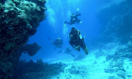 Un grup de scafandri care căutau epave din Al Doilea Război Mondial au găsit în schimb naveta Apollo. VIDEO