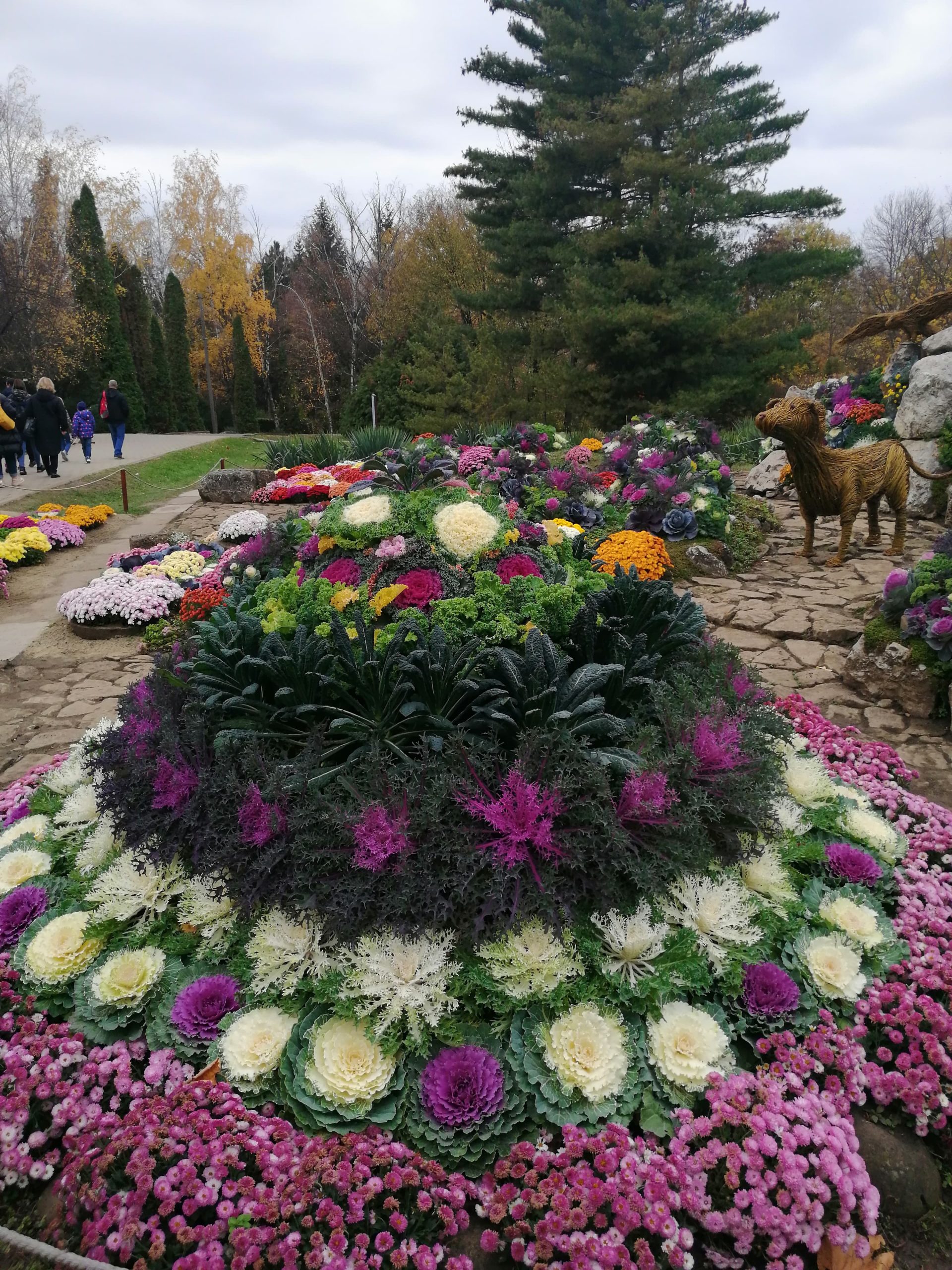 EXCLUSIV. Imagini fabuloase cu flori și legume pe care nu le-ați mai văzut, de la o  expoziție inedită din Grădina Botanică Iași