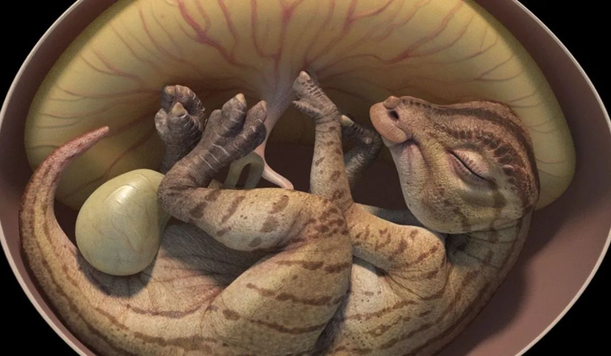 Au găsit embrioni de dinozaur într-un cuib cu ouă descoperit în China. „Cel puțin două dintre ouă conțin embrioni identificabili”