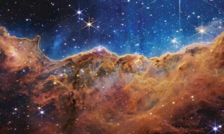 Lumea microscopică, văzută în imagini 6D. Noua tehnologie oferă detalii excepționale