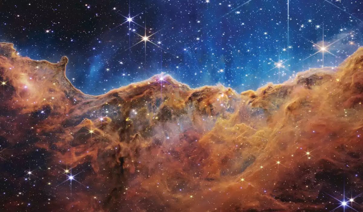 Lumea microscopică, văzută în imagini 6D. Noua tehnologie oferă detalii excepționale