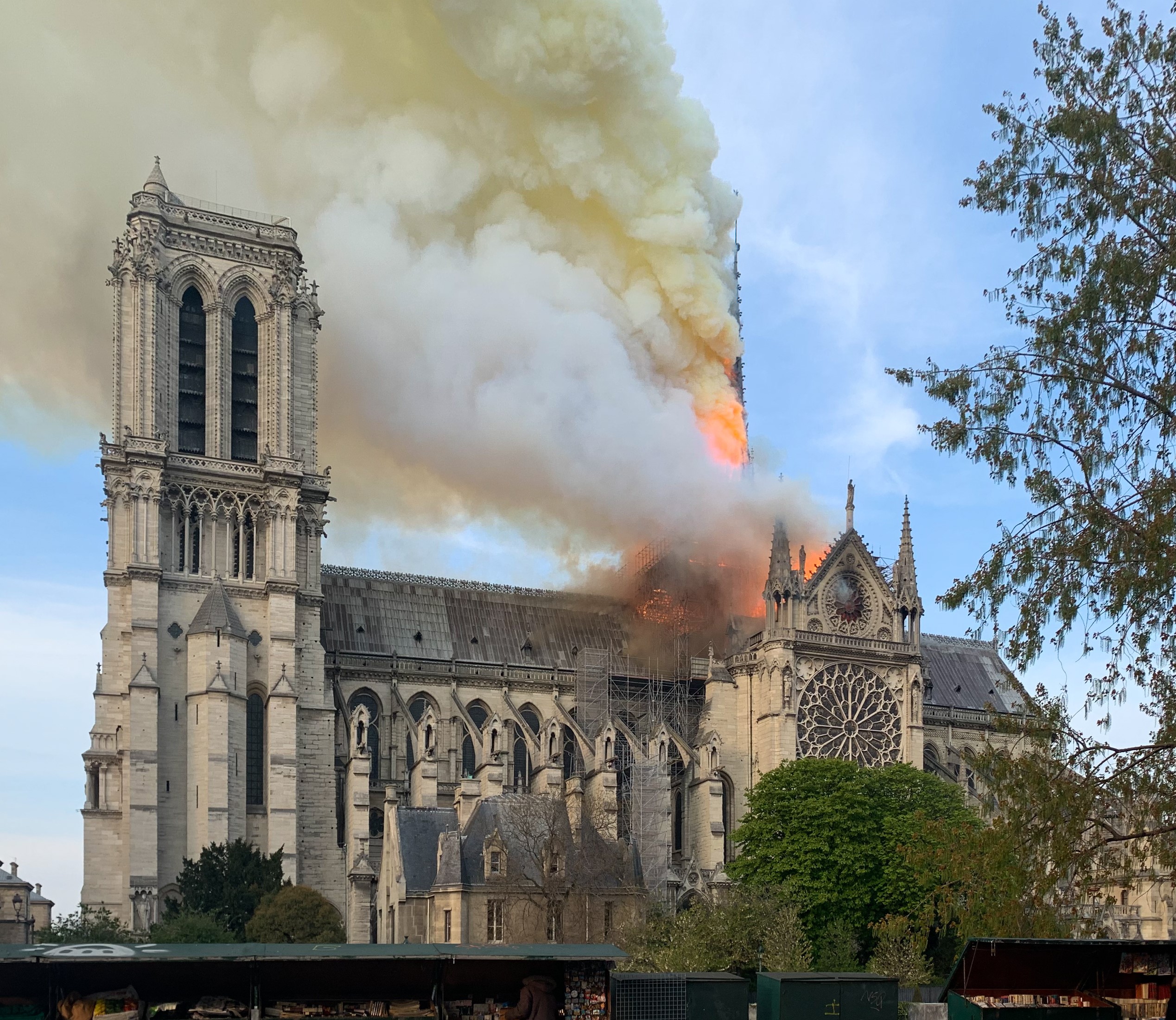 Noi informații despre sicriele de plumb ascunse sub podeaua Catedralei Notre Dame
