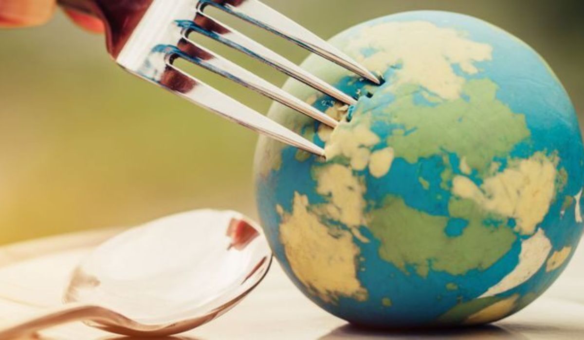 Mâncarea românească, în clasamentul „celor mai bune bucătării din lume”, 2022. Ce preparate ne-au făcut celebri