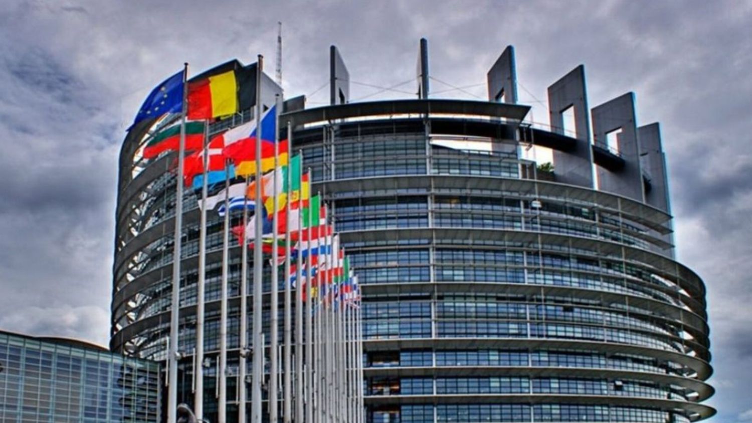 europarlamentarii Alegeri Europarlamentare