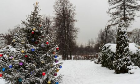 Ninge sau nu de Revelion? Iată ce spun meteorologii că ne așteaptă