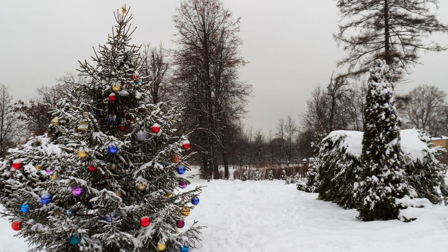 Ninge sau nu de Revelion? Iată ce spun meteorologii că ne așteaptă