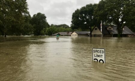 Peste 560.000 de locuințe au rămas fără curent electric în California, după o furtună mortală. Alte imagini terifiante