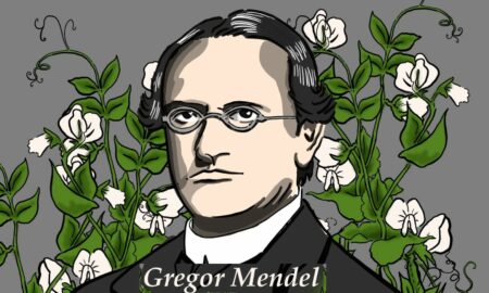 Cercetătorii, surprinși de ceea ce au găsit în sicriul lui Gregor Mendel, călugăr și părintele geneticii