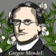 Cercetătorii, surprinși de ceea ce au găsit în sicriul lui Gregor Mendel, călugăr și părintele geneticii