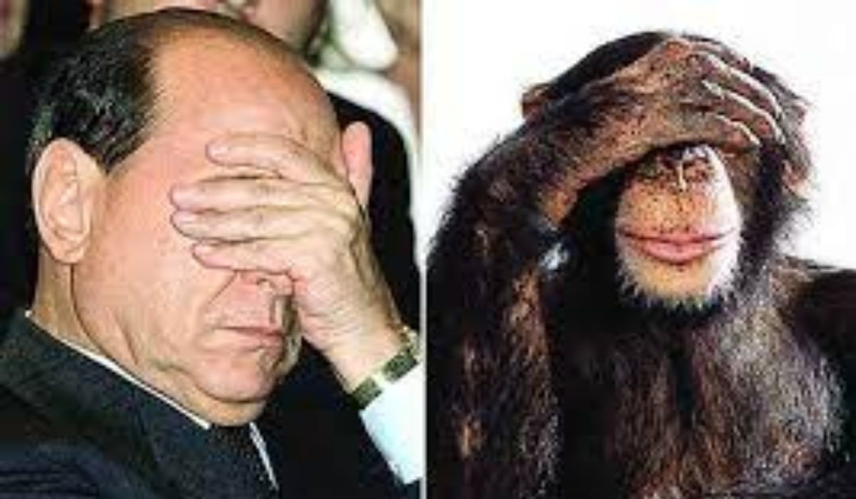 Oameni și cimpanzei. Gesturi cât se poate de asemănătoare, studiate recent în detaliu