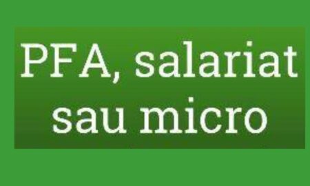 Un specialist a explicat cum este mai bine să funcționezi pe piața muncii, respectiv ca salariat, PFA sau microîntreprindere