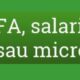 Un specialist a explicat cum este mai bine să funcționezi pe piața muncii, respectiv ca salariat, PFA sau microîntreprindere