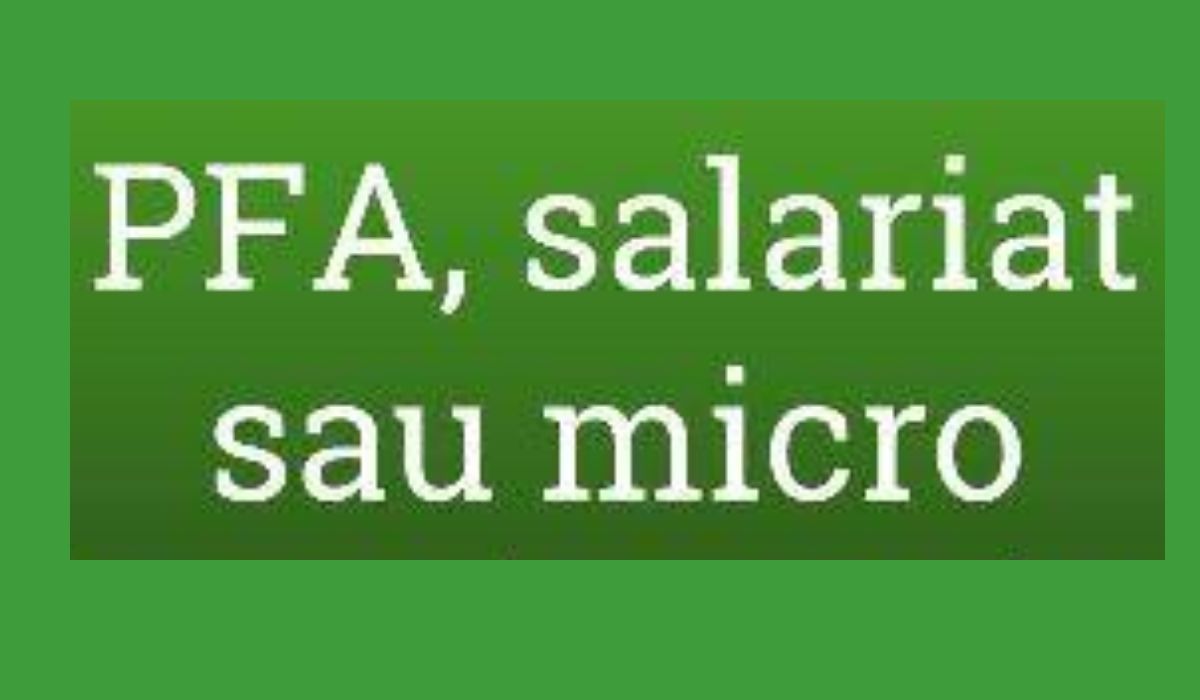 Un specialist a explicat cum este mai bine să funcționezi pe piața muncii, respectiv ca salariat, PFA sau microîntreprindere