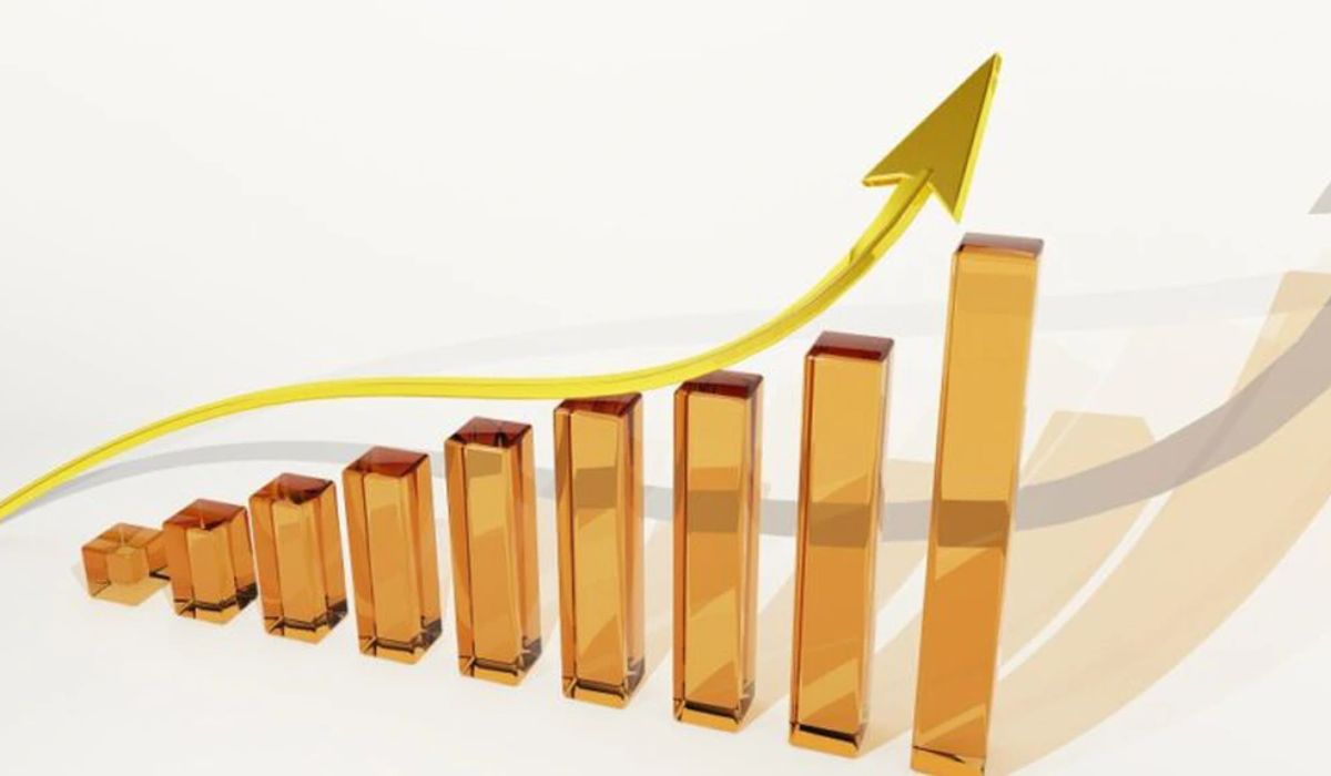 Profit-economica.net