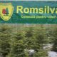 Angajaţii Romsilva semnalează afacerea „Privatizarea pădurilor” și cine va încasa banii din valorificarea fondurilor de vânătoare