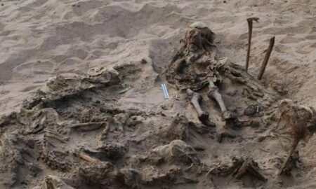 Descoperire stranie. Arheologii din Egipt au găsit un mormânt antic în care se afla un copil cu 142 de câini