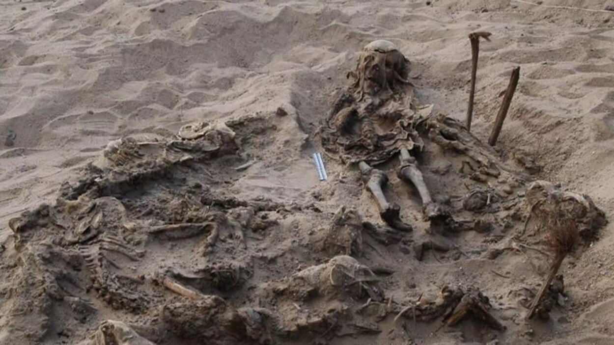 Descoperire stranie. Arheologii din Egipt au găsit un mormânt antic în care se afla un copil cu 142 de câini