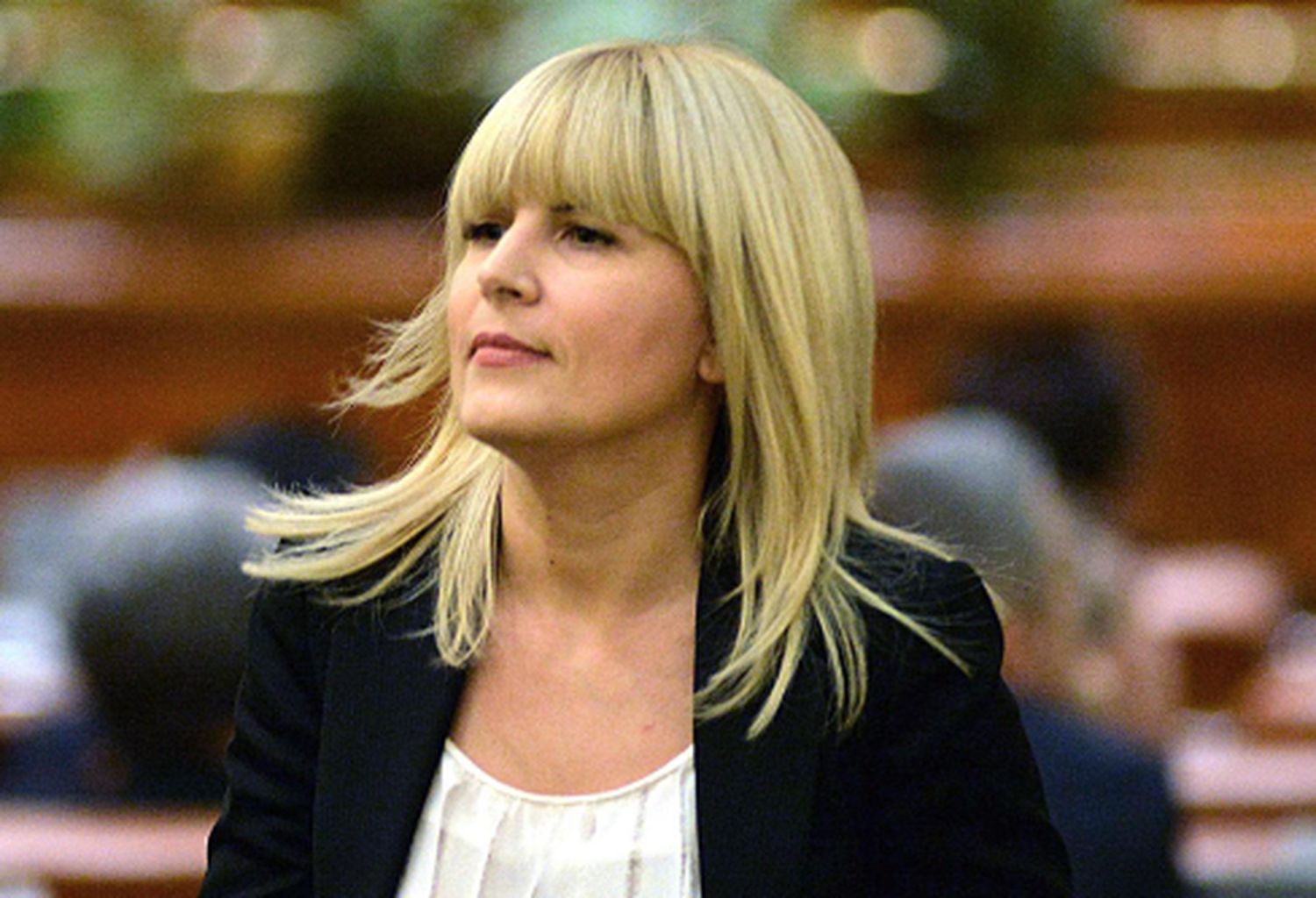 Elena Udrea propune o soluţie pentru redresarea economică. Deţinuţii să fie eliberaţi?