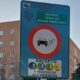 Amenzi usturătoare pentru șoferii care intră cu un vehicul înmatriculat în străinătate în zonele cu emisii reduse din Spania