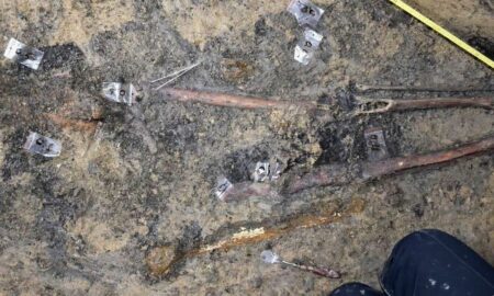 Descoperire incredibilă în România. A fost găsit mormântul unui războinic și a calului său, alături de 100 de artefacte de aur