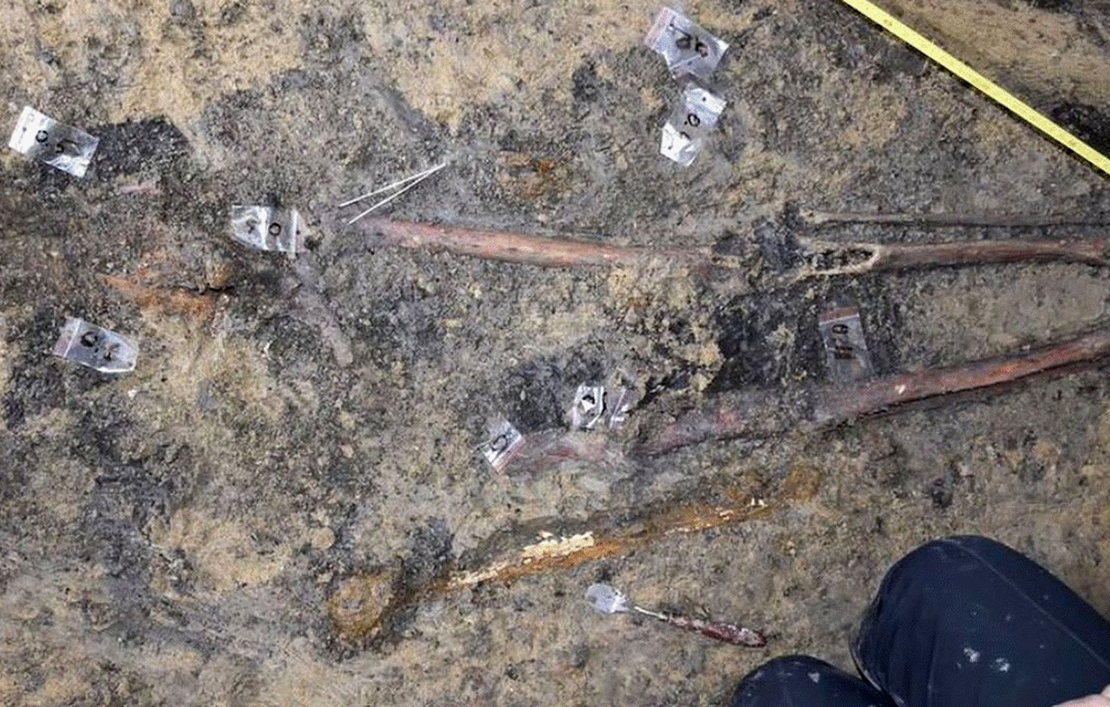 Descoperire incredibilă în România. A fost găsit mormântul unui războinic și a calului său, alături de 100 de artefacte de aur