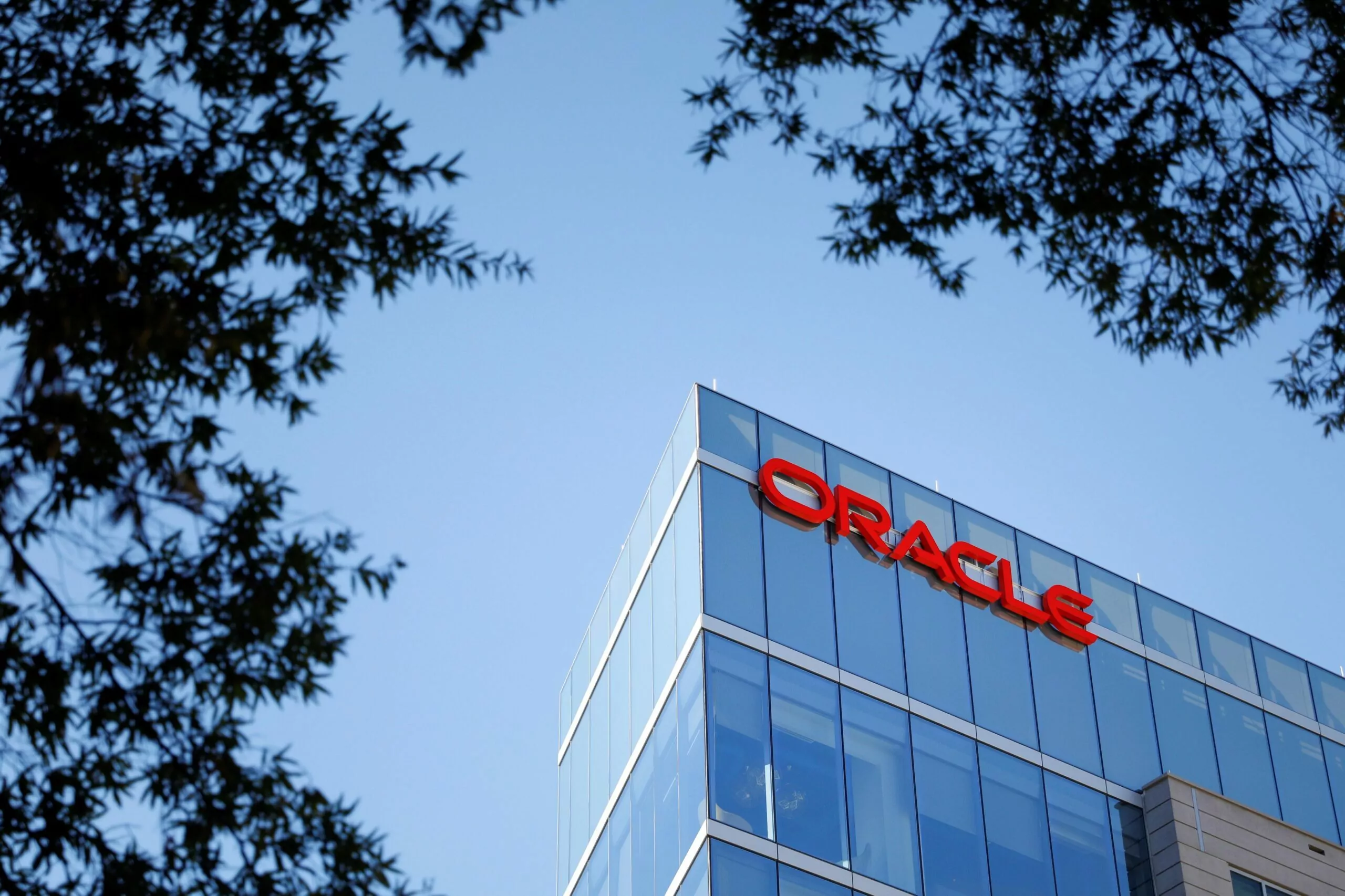 Oracle Sursa foto Waya Media