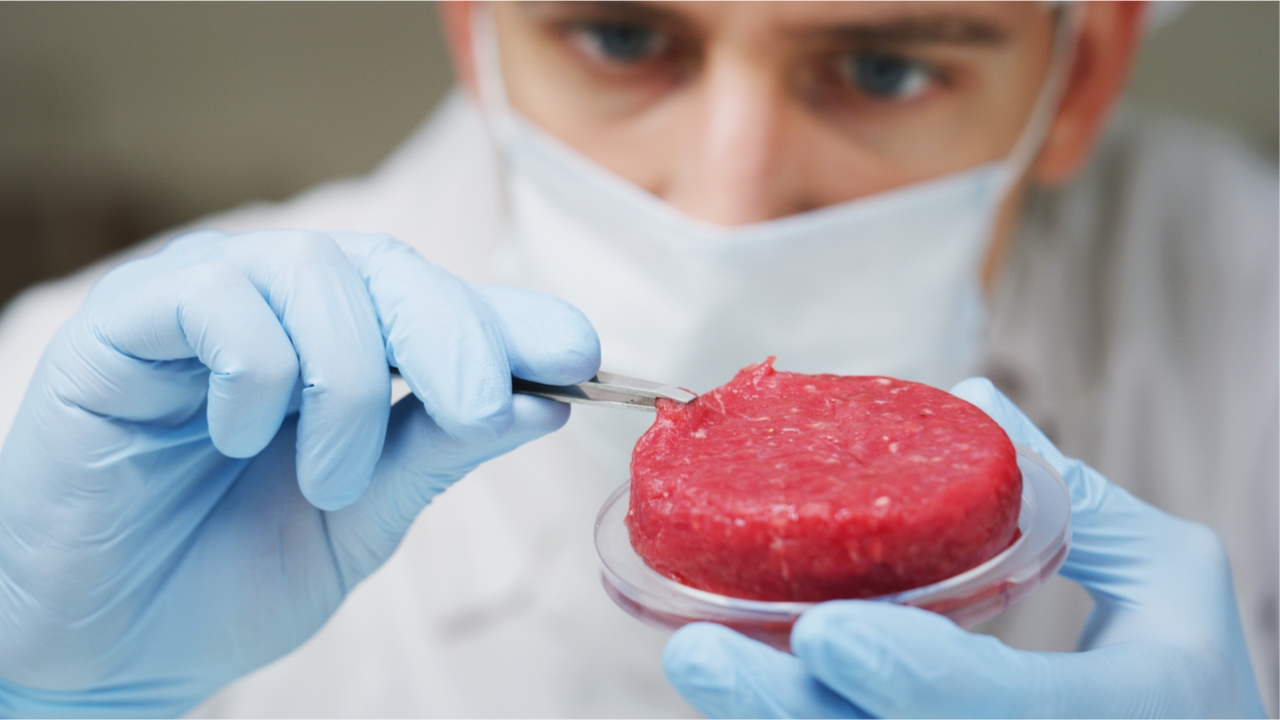 lab-meat_1 - colorado.edu