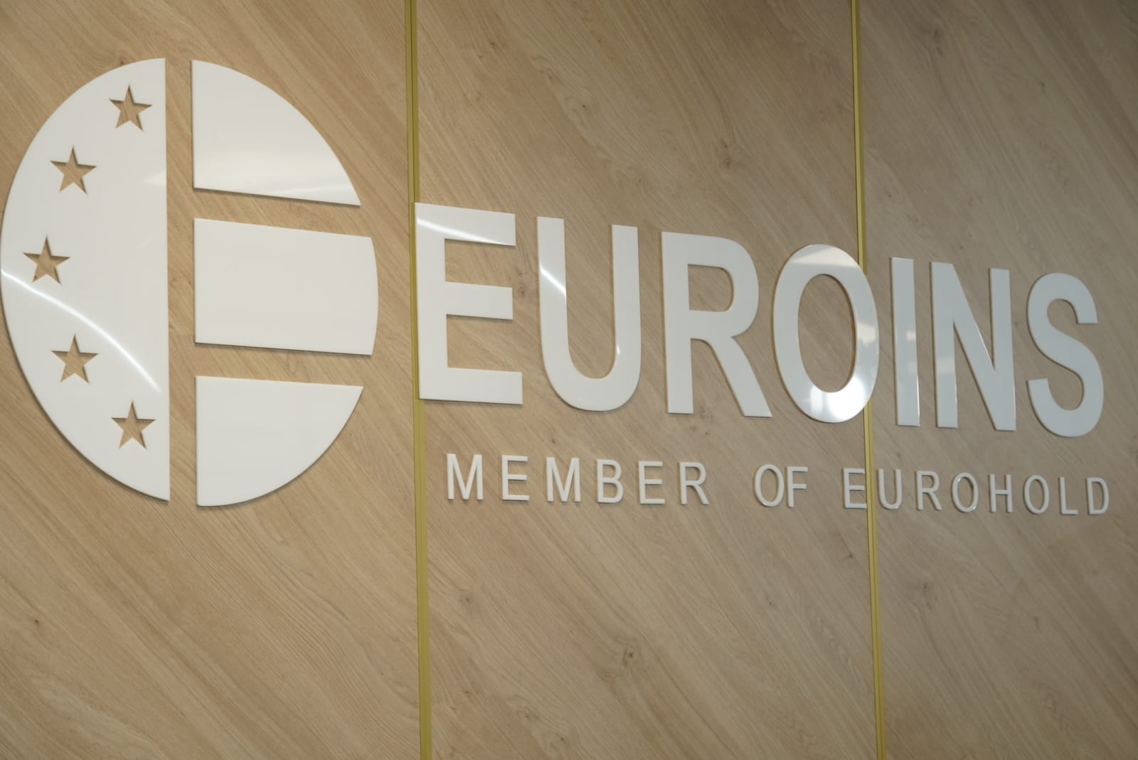 logo Euroins; Sursă foto: economedia.ro