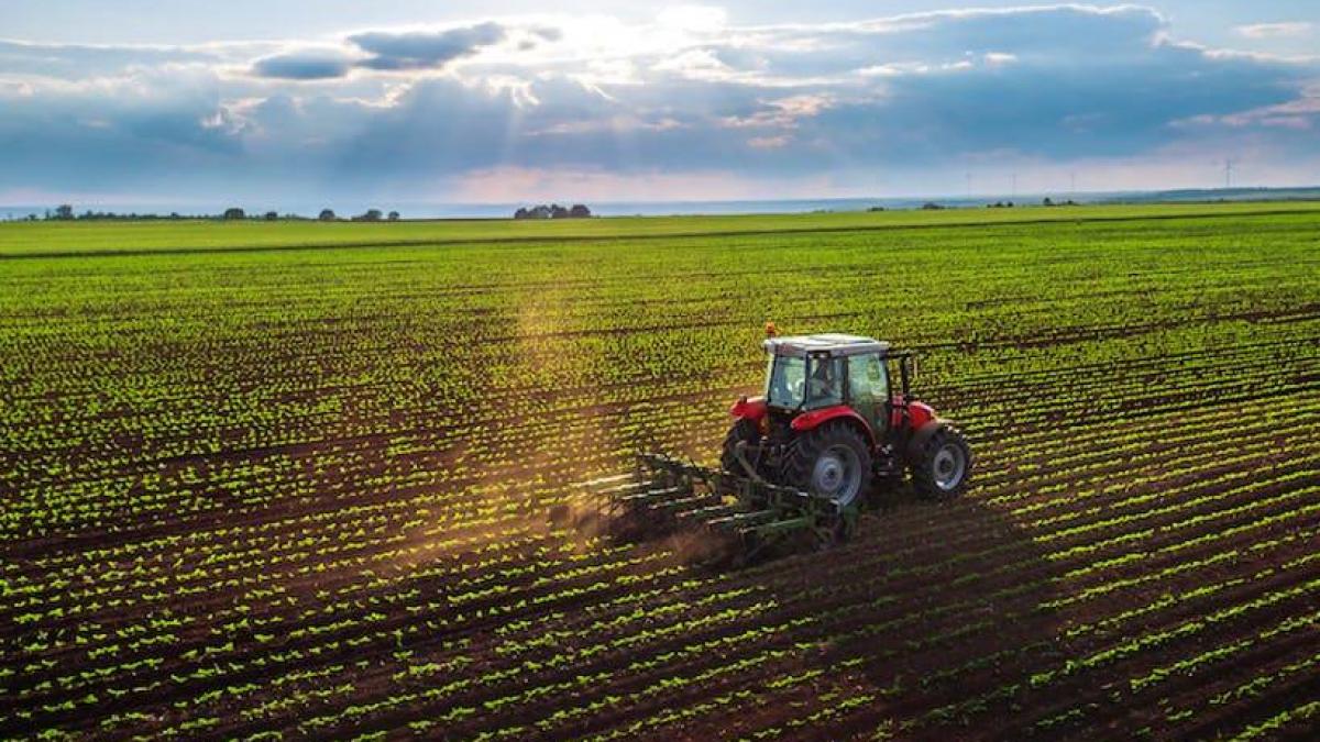 agricultura, sursa foto jurnalul