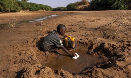seceta in africa