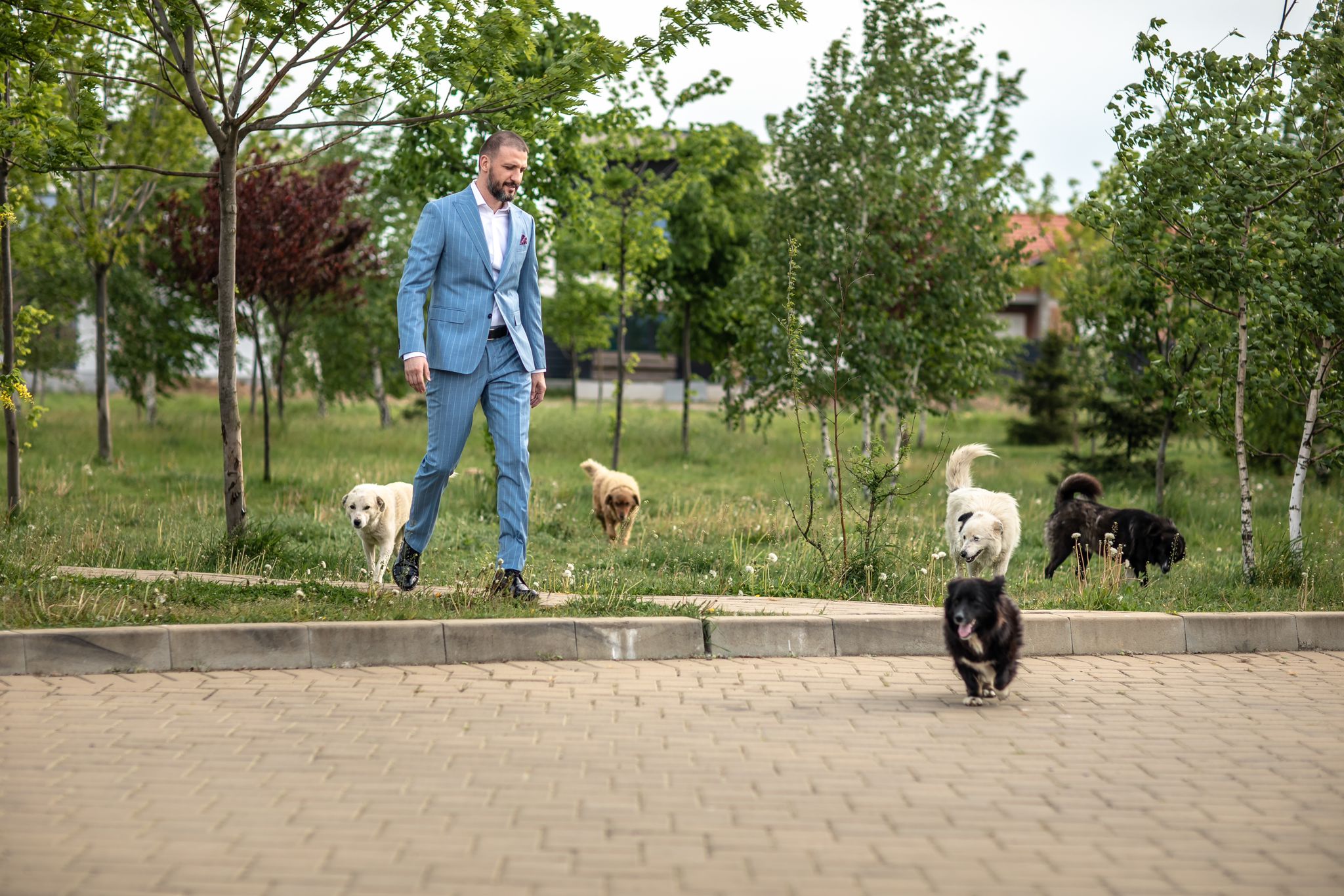 Cum tratează unii oameni animalele? Ștefan Mandachi, inițiatorul unui protest pentru oprirea abuzurilor asupra animalelor