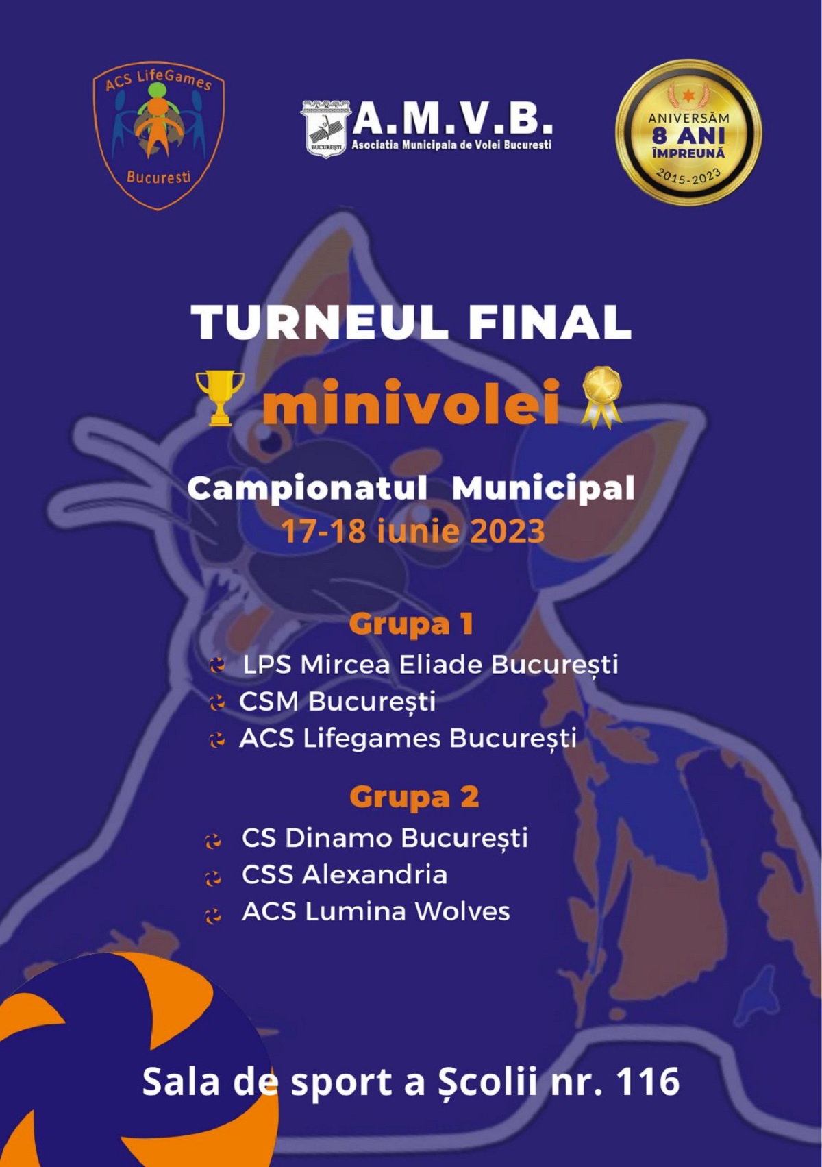 turneu mini volei