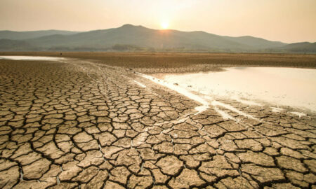 incalzire globala seceta Sursă foto Știrile ProTV