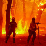incendiu grecia Sursă foto Digi24
