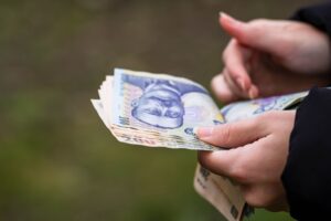 finantare vouchere-250-lei proteste subvenție indemnizație socială