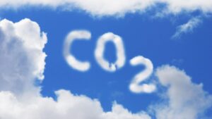taxa pe carbon
