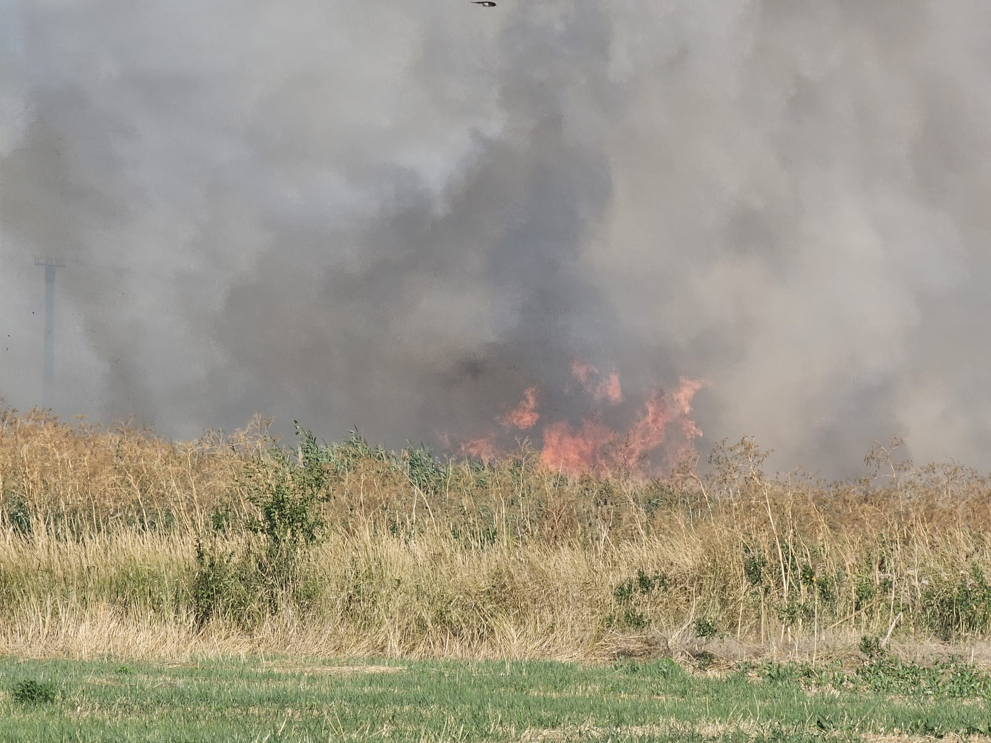 Amenzi în valoare de 65.000 de lei pentru producerea unor incendii de vegetație