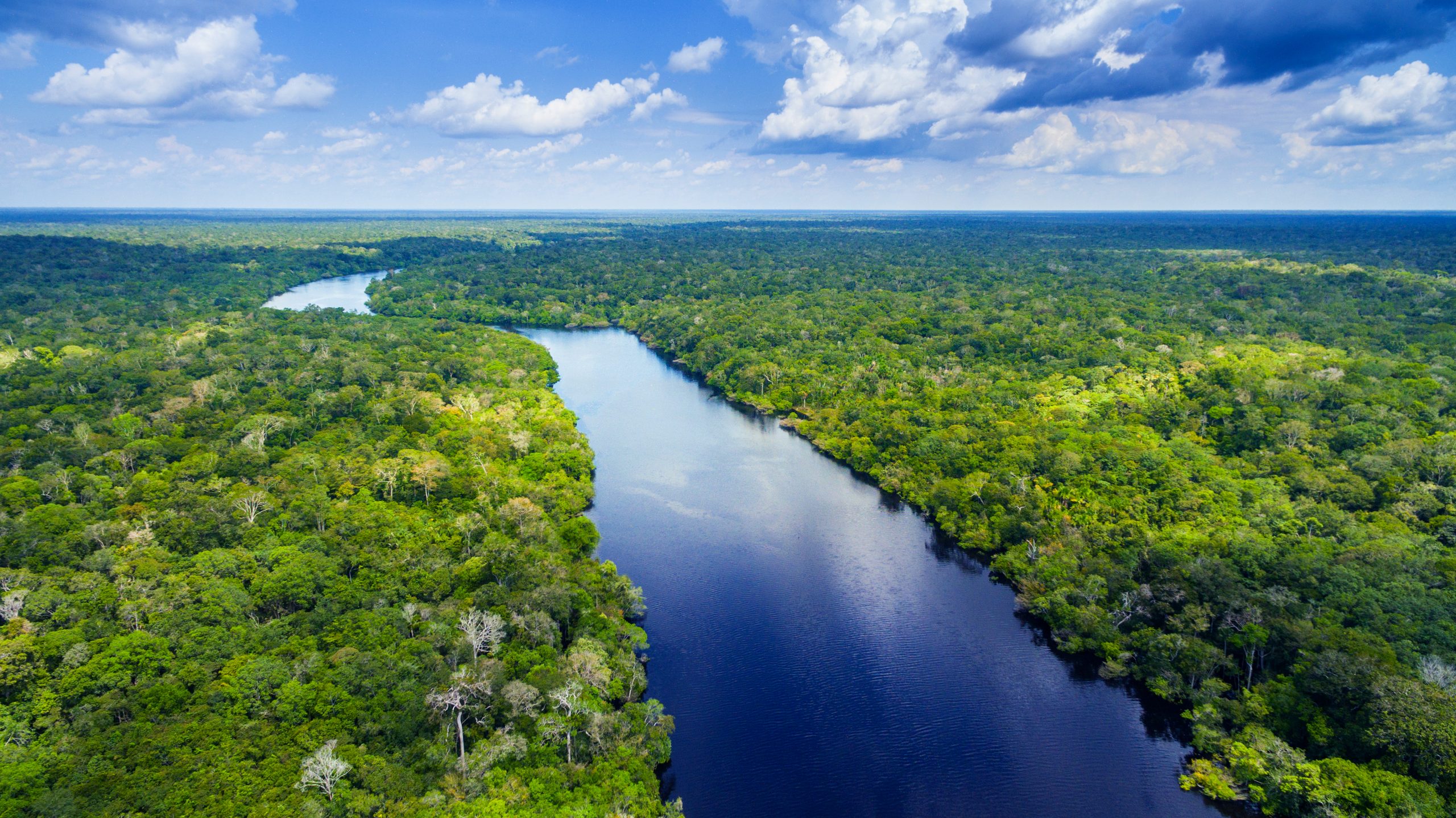 padurea amazoniană Sursă foto Descopera.ro