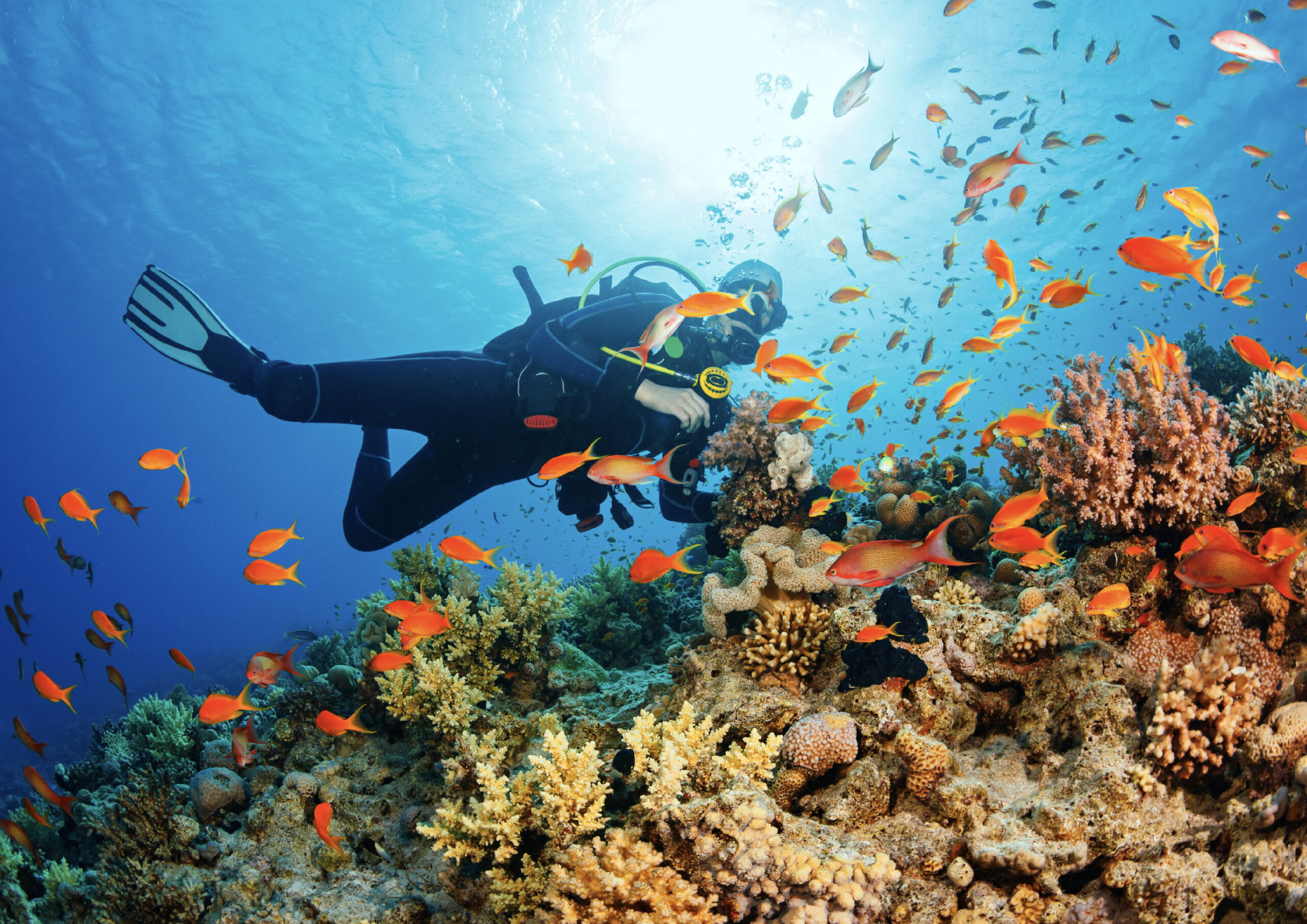 Turismul subacvatic, la mare căutare. Cât costă o experiență în adâncurile oceanului