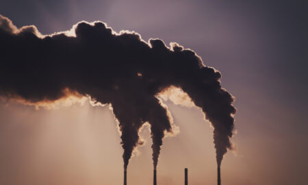 Se dorește stabilirea unui preț mondial al carbonului. La ce ar ajuta asta?