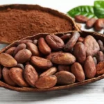 Criză de aprovizionare cu cacao. Cât va ajunge să coste ciocolata