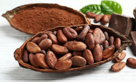 cacao, sursa foto outlook India