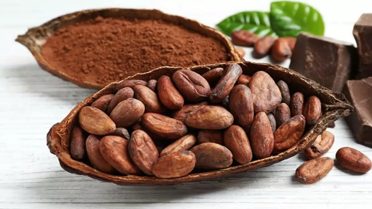 cacao, sursa foto outlook India