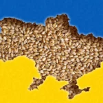 Ucraina va continua să beneficieze de suspendarea taxelor vamale pentru încă un an, până la data de 5 iunie 2025. Decizia a fost luată de Consiliul UE. Această măsură este însoțită de implementarea unui mecanism de protecție, care implică luarea rapidă a unor măsuri de remediere în cazul în care se înregistrează perturbări semnificative pe piața UE.