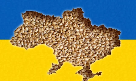 Germania trimite ajutoare. Apărare aeriană pentru protejarea transportului de cereale
